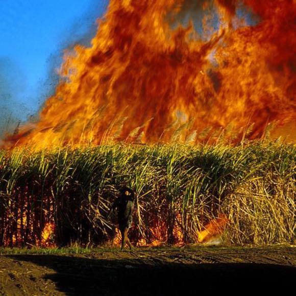 Meet your Posher, Maree - Picture 1 of 1